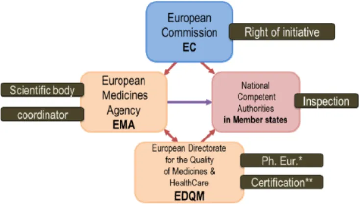 Fig. 2. European Medicines Management Network for pharmaceutical quality control. 15)