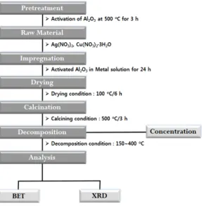 Fig.  1.  Schematic  diagram  of  the  experimental  process.