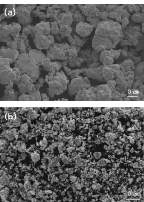 Fig. 1. SEM micrograph of powders: (a) Ag and (b) SnO 2 .