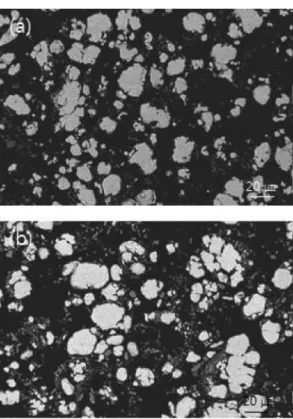 Fig. 2. SEM back scattered electron image obtained from the polished cross section of the Ag-SnO 2  powder particles milled at 200 rpm: (a) milling time for 1 h, (b) milling time for 3 h and (c) high magnification image of Fig
