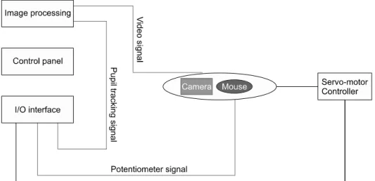 Fig.  1.  Mouse  video-oculography  setup.