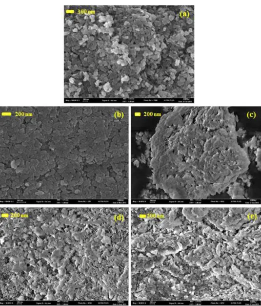Fig.  2.  SEM  images  of  surface  modified  Mg(OH) 2 .  (a)  Mg(OH) 2 ,  (b)  Span  80,  (c)  Span  60,  (d)  Span  40,  (e)  Span  20.