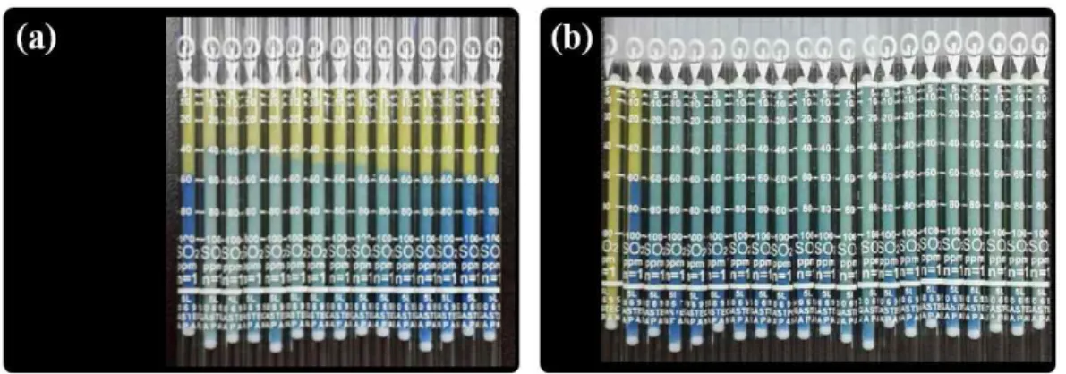 Fig.  6.  The  gastec  of  SO 2   passed  through  (a)  poling  layer  with  the  aqueous  solution  0.25  wt% 