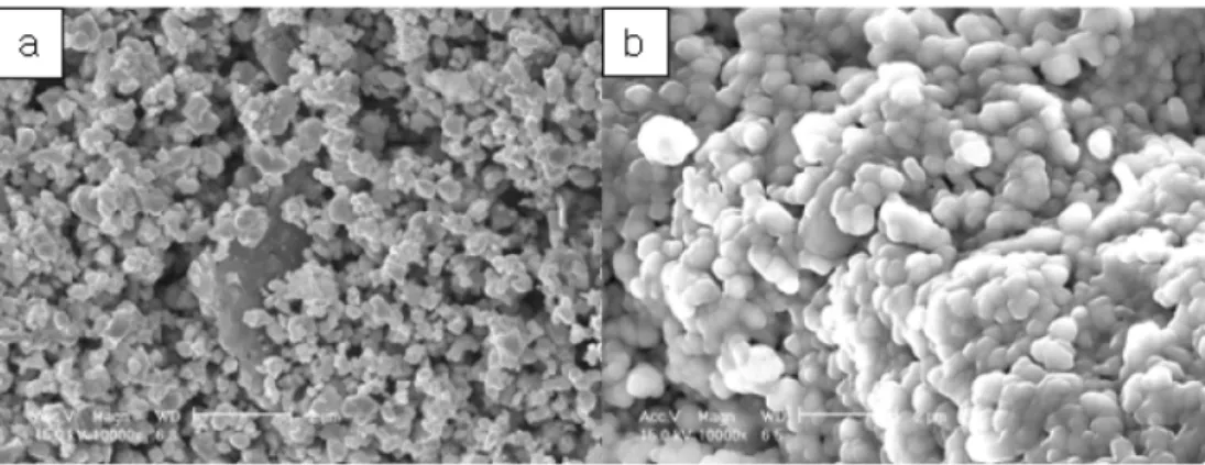 Fig. 2. FE-SEM images of (a) initial powder and (b) feed stock.