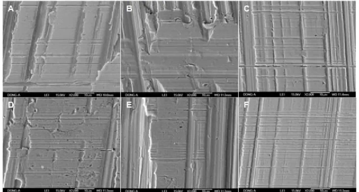Fig.  5    SEM  images  of  the  sliding  contact  surface  of  the  fixed  disk  after  tests  (magnification:  2000  times)