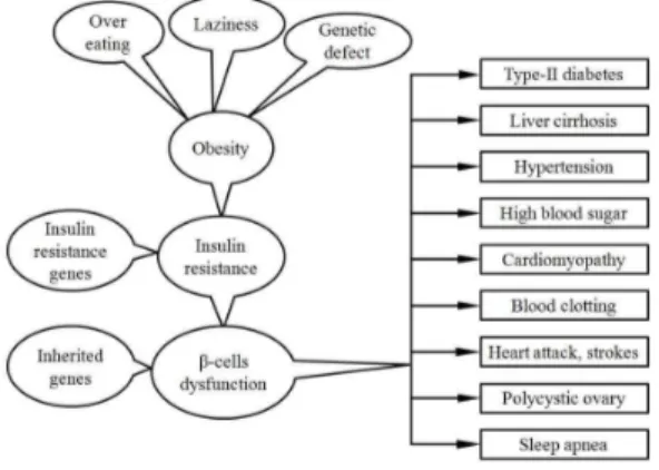 Fig.  1.  The  follow-diagram  explaining  the  interactions  among  individual  behavior,  genetic  inheritance,  obesity  and  outbreak  of  obesity-related  diseases