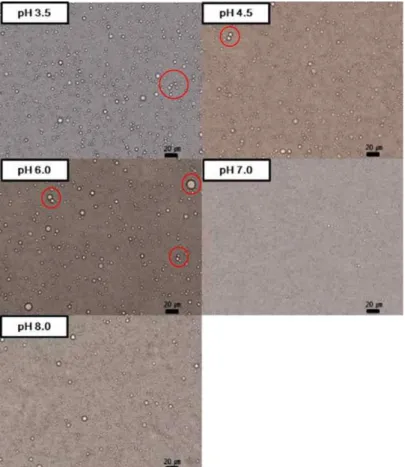 Fig.  3.  Microscopic  images  of  0.5  wt%  SFE  extract  oil-in-water  emulsions  at  different  pH  values(×400).