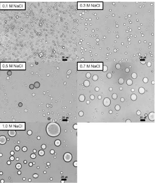 Fig.  6.  Microscopy  images  of  0.5  wt%  SFE  extract  oil-in-water  emulsions                          containing  various  NaCl  concentrations(×400).