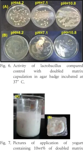 Fig. 7. Pictures  of  application  of  yogurt  containing  10wt%  of  doubled  matrix  capsules  in  food  industry.