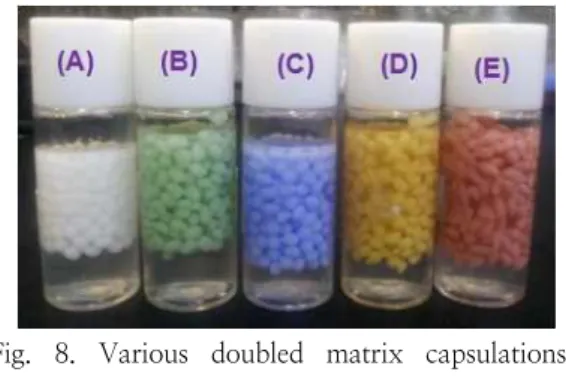 Fig.  8.  Various  doubled  matrix  capsulations  containing  active  ingredients;  (A)  insulin,  (B)  alpha-tocopherol,  (C)  squalene,  (D)  Korean  ginseng  extract,  (E)  alpha  lipoic  acid