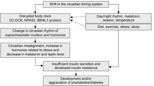 Fig. 1. The influence of the shift in the  circadian  timing  system  on  the development  and  progression  of  diabetes