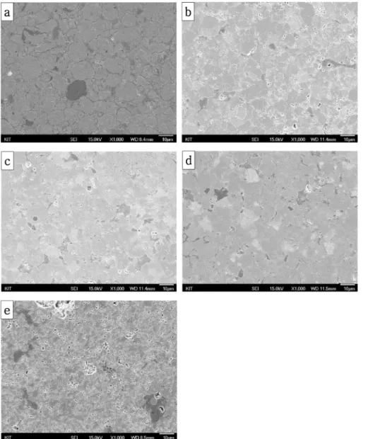 Fig. 3. SEM microstructures of STS430 and 10% nano TiCxNy composite (a) before heat treatment and after treatment at (b) 800 o C, (c) 900 o C, (d) 1000 o C, and (e) 1100 o C.