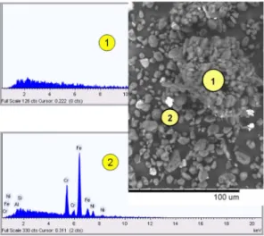 Fig. 6. SEM images and elemental compositions of the F6 fraction of the Ch2 powder.
