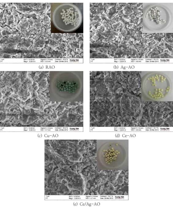 Fig.  3.  SEM  plates  of  test  catalysts  (all  the  samples  were  calcined  at  500  ℃  (5  vol.%  H 2 )).