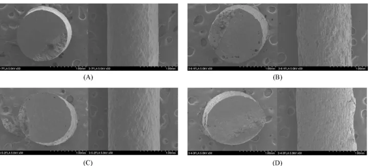 Fig. 3. SEM images of 3D printed tablet (T1).