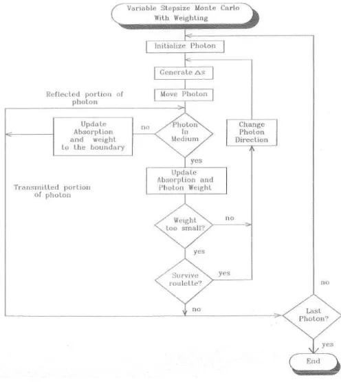 Fig.  2.  Roulette  for  variance  stepsize  of  Monte  Carlo  simulation  program.                           1            ∂  ln  (I/I 0 )             μ s =    ․   (13)                           d                ∂  C 본  연구에서  simulation  방법