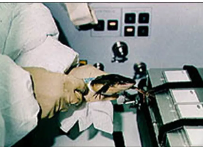Fig.  5.  A  Fish  swimming  in  microgravity  (Ref.  4). Fig.  6. An  astronaut training  a  frog  with care in space  (Ref