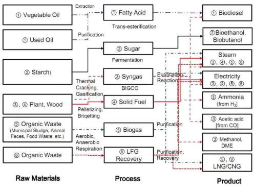 Fig.  1.  Overall  bioenergy  application  from  raw  materials  to  final  products.닌  외부(surrounding)  로부터  에너지가  유입되어 들어온  것으로  볼  수  있다