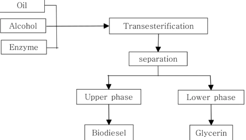 Fig.  4.  Biodiesel  manufacturing  process  by  using  enzyme  catalyst.