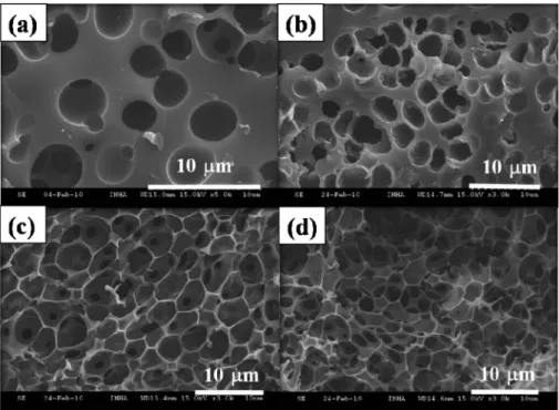 Fig. 1 shows scanning electron microscope (SEM, Hitachi S-4300) microphotographs of PMMA  tem-plate and cured gel containing the PMMA particles.
