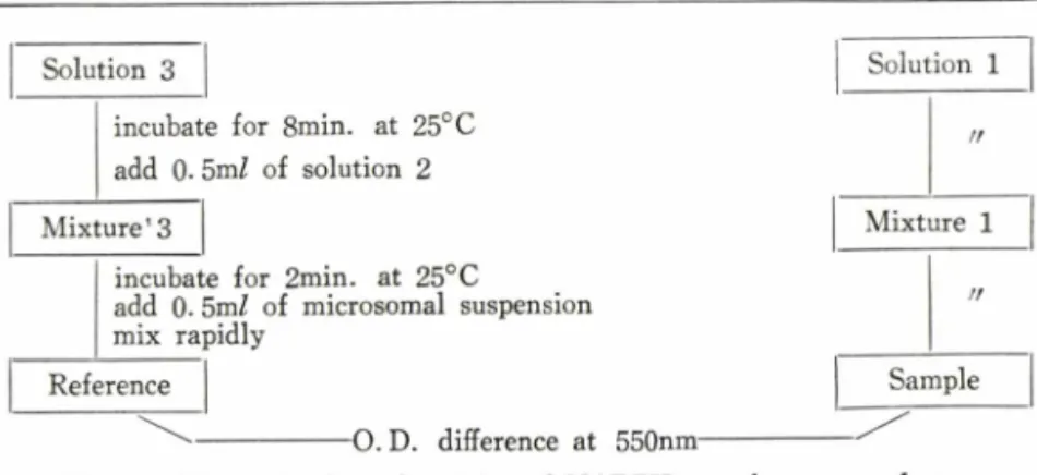 Fig.  2ᅳDetermination  of  activity  of  NADPH  cytochrome  c  reductase.