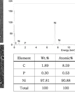 Fig. 5. SEM images of electroless nickel plating.