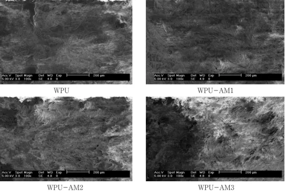 Fig.  7.  Abrasion  phenomena  for  WPU  and  WPU-AM  samples  of  leather  surface  by  SEM