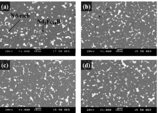 Fig. 3. BSE images of Nd-Fe-B magnets fabricated by (a) isothermal sintering and (b)-(d) cyclic sintering: (b) 2 cycles, (c) 6 cycles, and (d) 10 cycles.