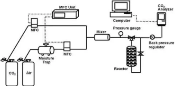 Fig.  2.  Schematic  diagram  of  experimental                apparatus  for  CO 2  adsorption.