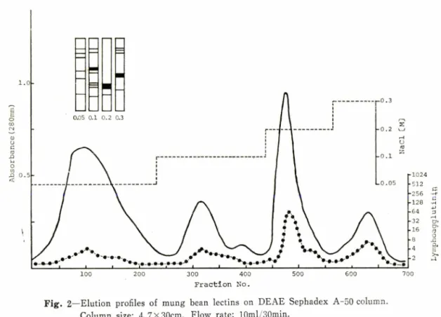 Fig.  2ᅳElution  profiles  of  mung  bean  lectins  on  DEAE  Sephadex  A-50 column.