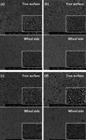 Fig. 1. Back scattered electron micrographs of the free surface and wheel side of the strip-casts (Nd 26.06 , Dy 6.51 )Fe bal