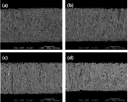 Fig. 3. Cross-sectional back scattered electron micrographs of the strip-casts (Nd 26.06 , Dy 6.51 )Fe bal