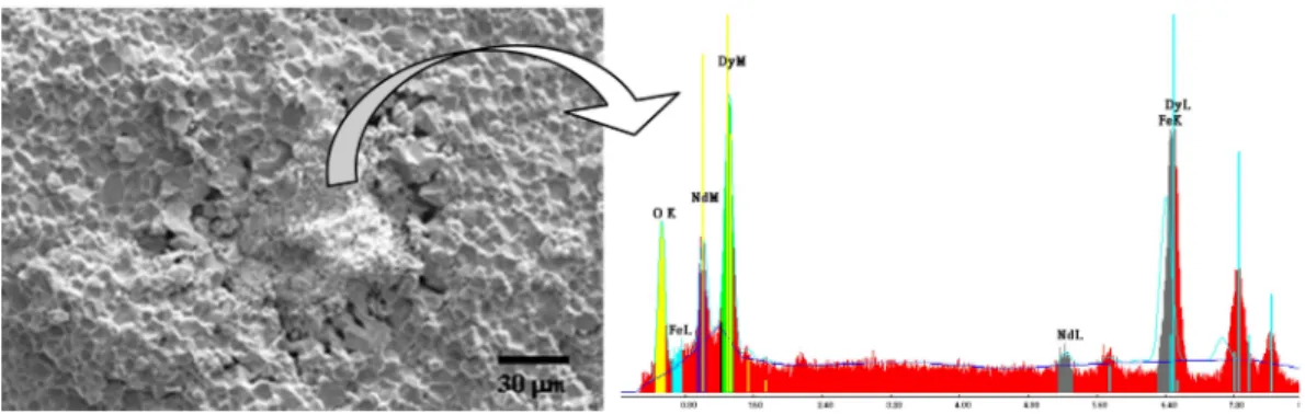 Fig. 6. SEM images of DyF 3  powder observed at (a) high magnification and (b) low magnification.