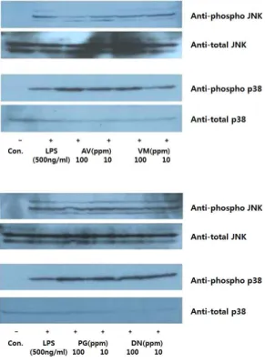 Fig.  6.  Inhibitory  effect  of  various  medicinal  herb  extracts  on  activities  of  JNK  and  p38  MAPK  in  macrophage  RAW264.7  cells