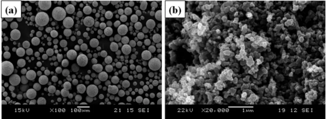 Fig. 1. SEM micrographs of the starting powder; (a) (Ba,Sr)TiO 3  and (b) carbon black.