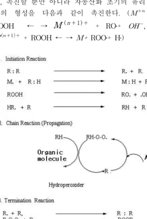 Fig. 1. Process route of chain reaction by free radical. 따라서 지방질식품을 취급하는 기구나 기계 는 구리와 같은 금속으로 만들지 말고 알루미 늄, 스테인리스스틸 등의 재질로 된 것을 사용 해야 한다
