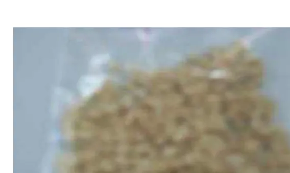 Fig. 8. IR Spectrum of Cl-starch coupling to seaweed pulp.