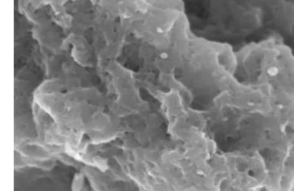 Fig. 9. DSC and TGA of Cl-starch coupling to seaweed pulp.