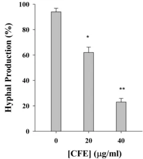 Fig. 5 − CFE blocks hyphal production of the yeast form of C.
