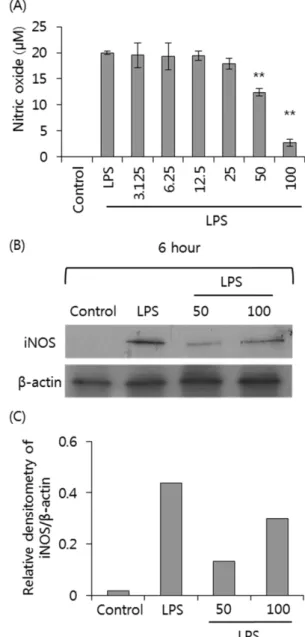 Fig. 1 − Cytotoxicity of the methanol extract of Staphylea bumalda’s leaves on Raw 264.7 cells