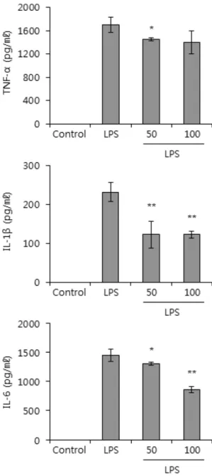 Fig. 3 − Effect of the methanol extract of Staphylea bumalda’s leaves on COX-2 production in Raw 264.7 cells