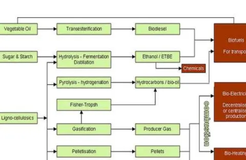 Fig. 1. Varies bioenrgies derived from different biomass sources.1. 서 론화석연료 에너지원에 의존한 20세기 인류문명은 새천년에 들어와서 이 화석연료의 고갈이예측되면서 지속 가능한 신재생에너지원의 개발이 인류 생존에 최대 문제로 떠오르고 있다[1]