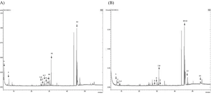 Fig. 1 − GC/MS chromatogram of volatile constituents of Korean Taeksa (A), and Chinese Taeksa (B).