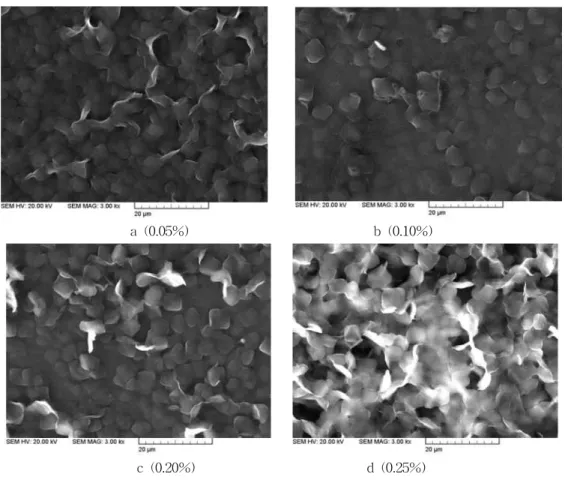 Fig. 2. SEM micrographs of LLDPE particles.