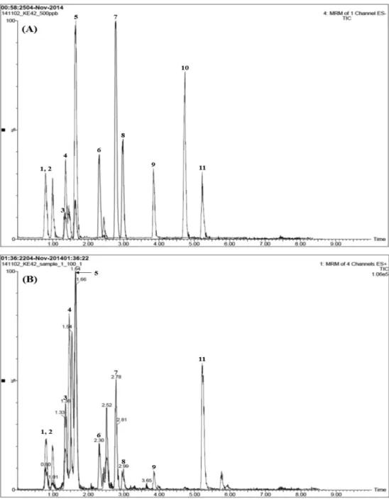 Fig. 3 − Total ion chromatograms of the standard solution (A) and Jakyakgamcho-tang decoction (B) by LC-MS/MS MRM mode