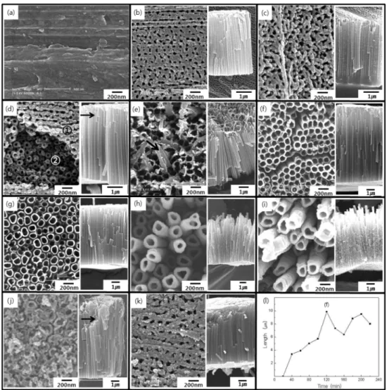 Fig. 2. FE-SEM images of TiO 2  nanotube array formed every twenties minutes at 30 o C in ethylene glycol + 0.3M NH 4 F + 2 vol% H 2 O; (a) 20 min., (b) 40 min., (c) 60 min., (d) 80 min., (e) 100 min., (f) 120 min., (g) 140 min., (h) 160 min., (i) 180 min.