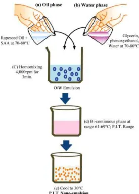 Fig. 3. Preparing method of P.I.T emulsion.