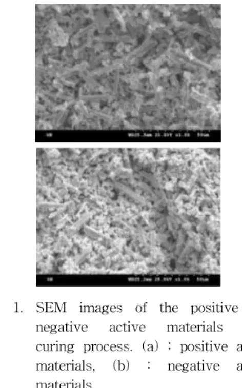 Fig. 1. SEM images of the positive and negative active materials after curing process