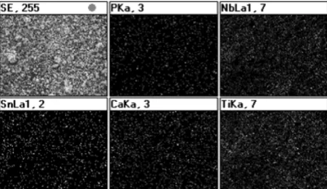 Fig. 4 shows the result of X-ray mapping after 12h milling. It was found that Ti, Nb, Sn and HA  pow-ders are homogenously distributed
