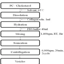Table 2. Formula for Preparation of LiposomeScheme 1. Prepartion process of liposome